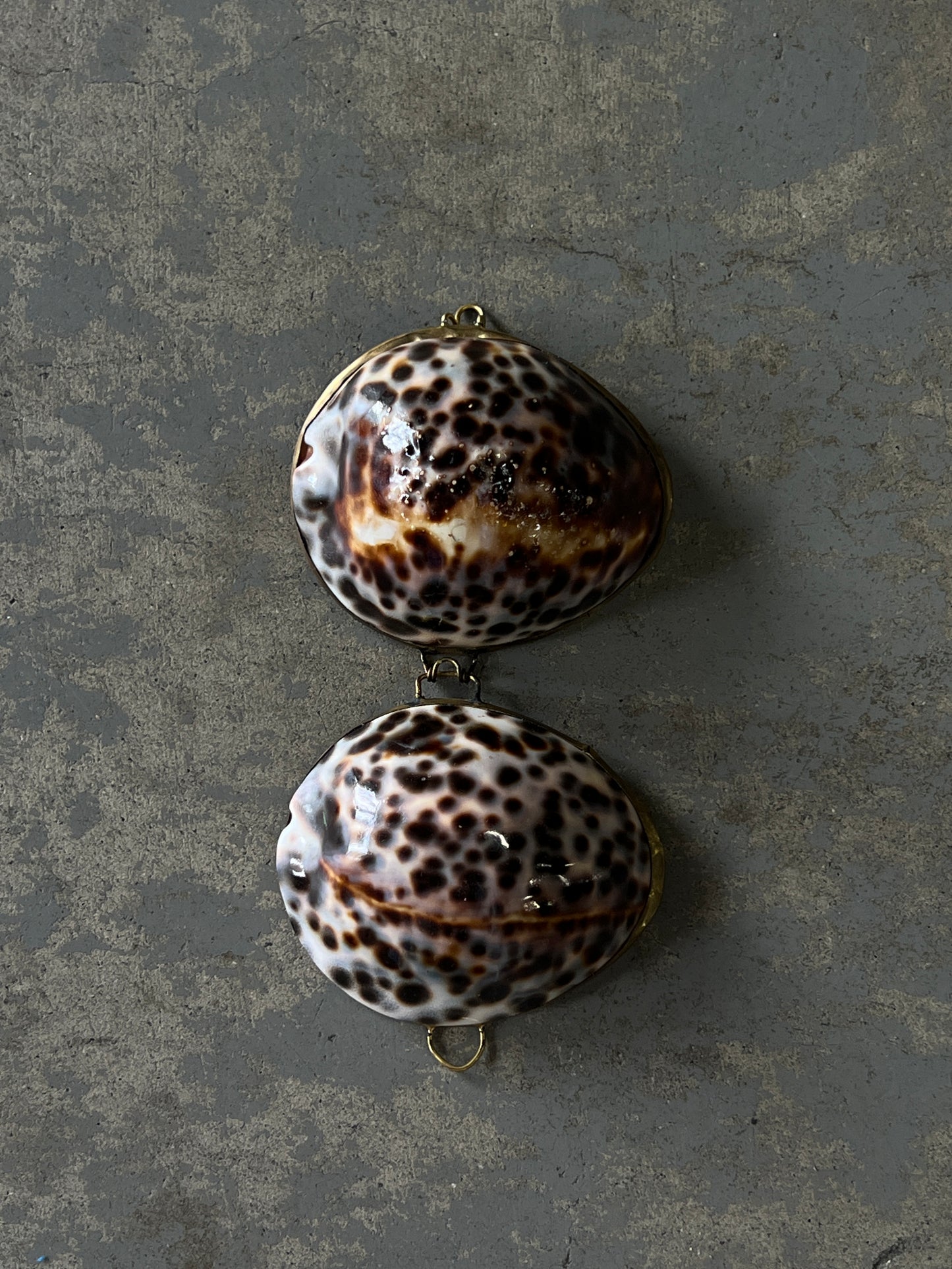 (Vintage) seashell pill case