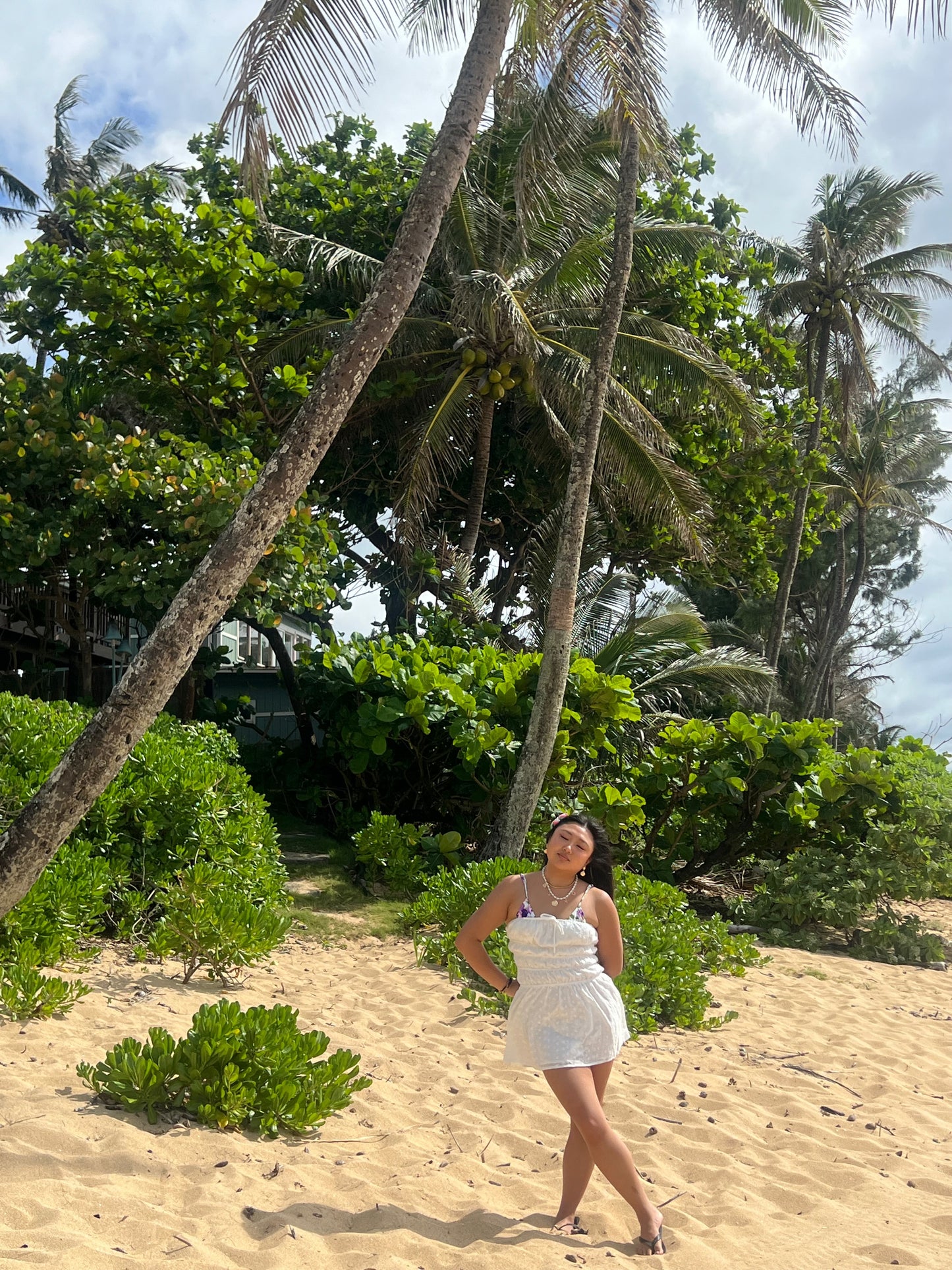 Laikani beach eyelet dress