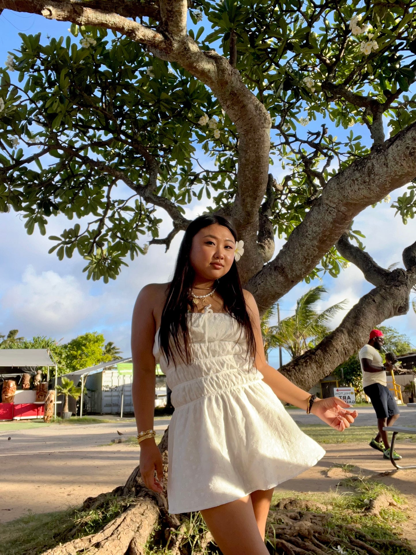 Laikani beach eyelet dress