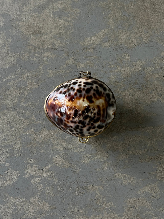 (Vintage) seashell pill case