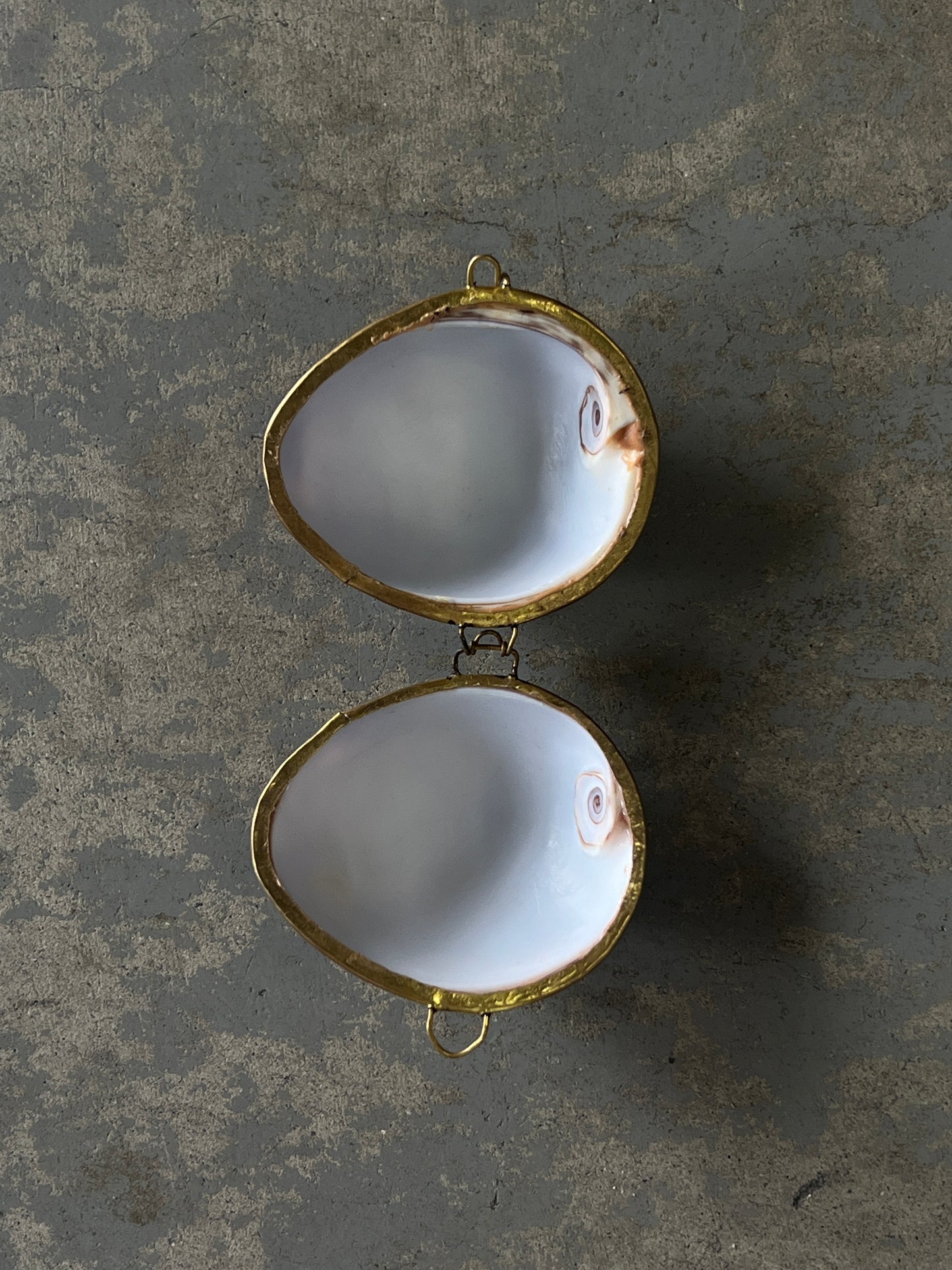 (Vintage) seashell pill case